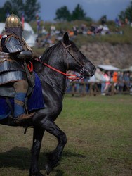 Similar image 22316340