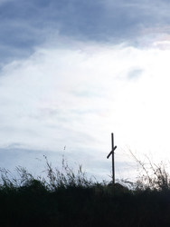 Similar image 22316346