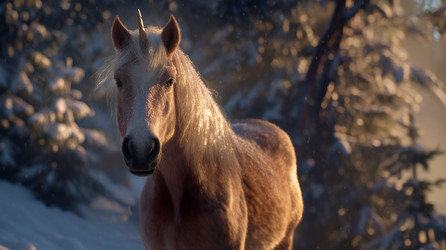 Similar image 22332162