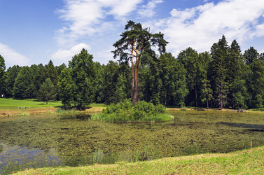 Similar image 22315003