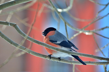 Similar image 22316648