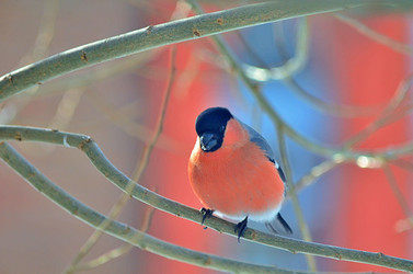 Similar image 22316649