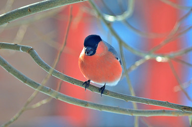 Similar image 22316650