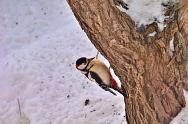 Similar image 22316651