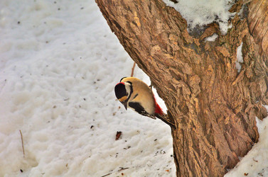 Similar image 22316652