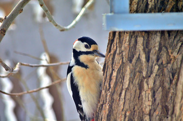 Similar image 22316653