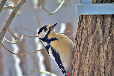 Similar image 22316654