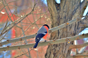 Similar image 22316655