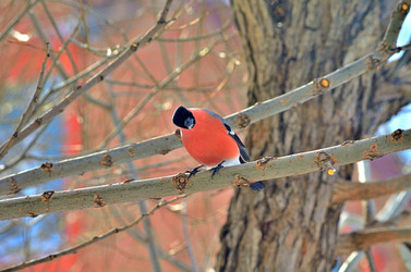 Similar image 22316656