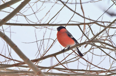 Similar image 22316658