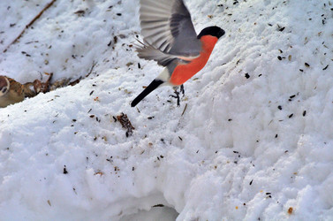 Similar image 22316659