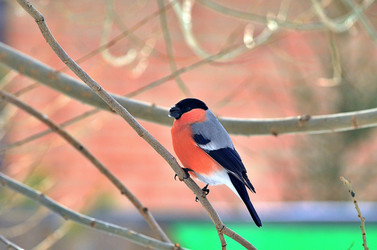 Similar image 22316660