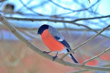 Similar image 22316663