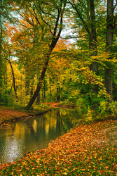 Similar image 22323056