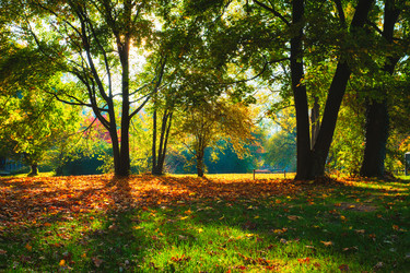 Similar image 22323062