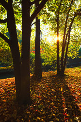 Similar image 22323064