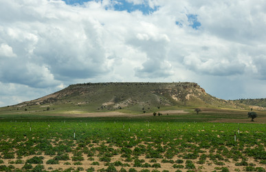 Similar image 22315144