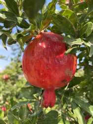 Similar image 22315022