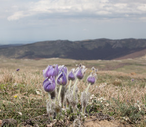 Similar image 22316347