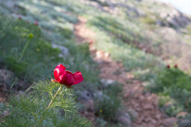 Similar image 22316348