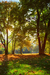 Similar image 22324842