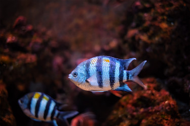 Similar image 22325171