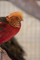 Similar image 22314848