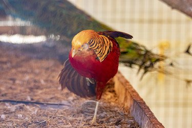 Similar image 22314849