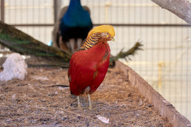 Similar image 22314850