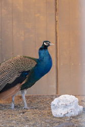 Similar image 22314851