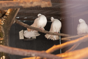 Similar image 22314852