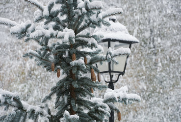 Similar image 22314794