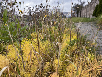 Similar image 22316350