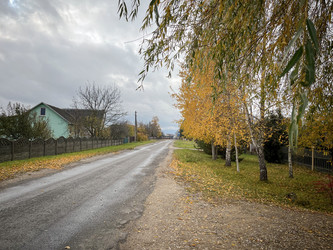 Similar image 22316354