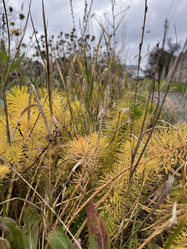 Similar image 22316355