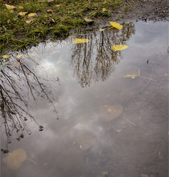 Similar image 22316361