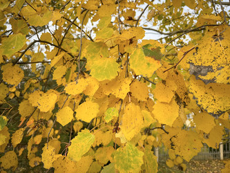 Similar image 22316362