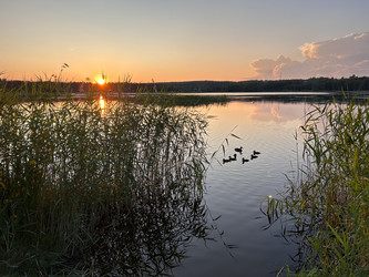 Similar image 22318459