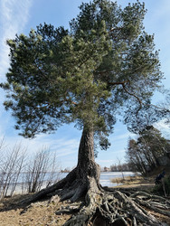 Similar image 22318460