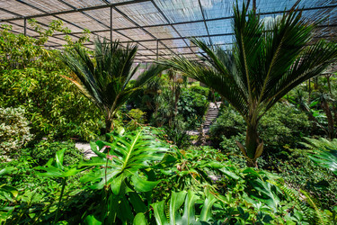 Similar image 22323072