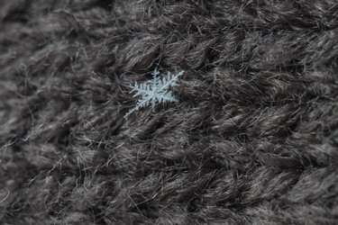 Similar image 22318461