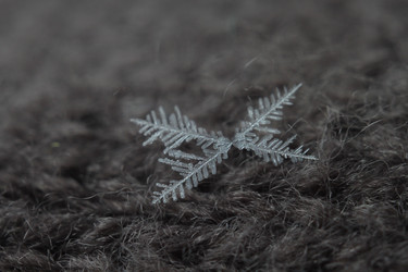 Similar image 22316402