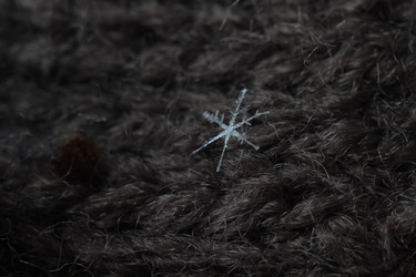 Similar image 22318462