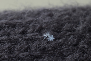 Similar image 22318463