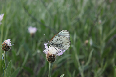 Similar image 22316403