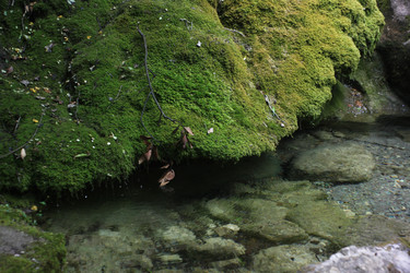 Similar image 22318464