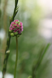 Similar image 22316691