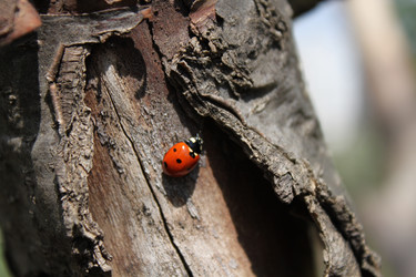 Similar image 22316404