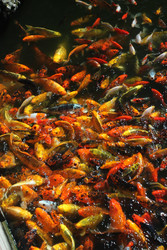 Similar image 22316405