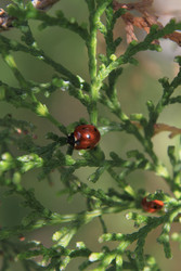 Similar image 22317317